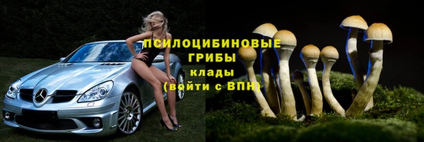 СК Абинск
