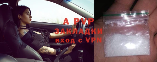 СК Абинск