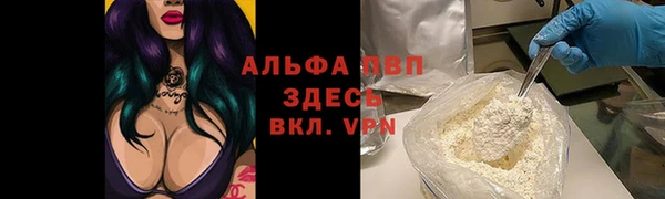 СК Абинск