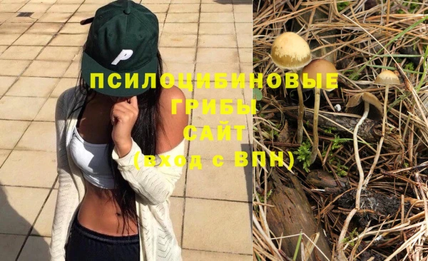 СК Абинск