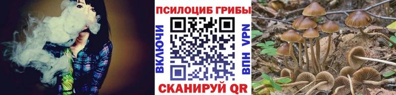 закладки  hydra ссылка  Псилоцибиновые грибы Cubensis  Новотроицк 