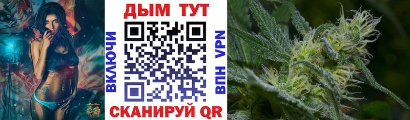 Бошки Шишки гибрид  МЕГА ссылка  Новотроицк 